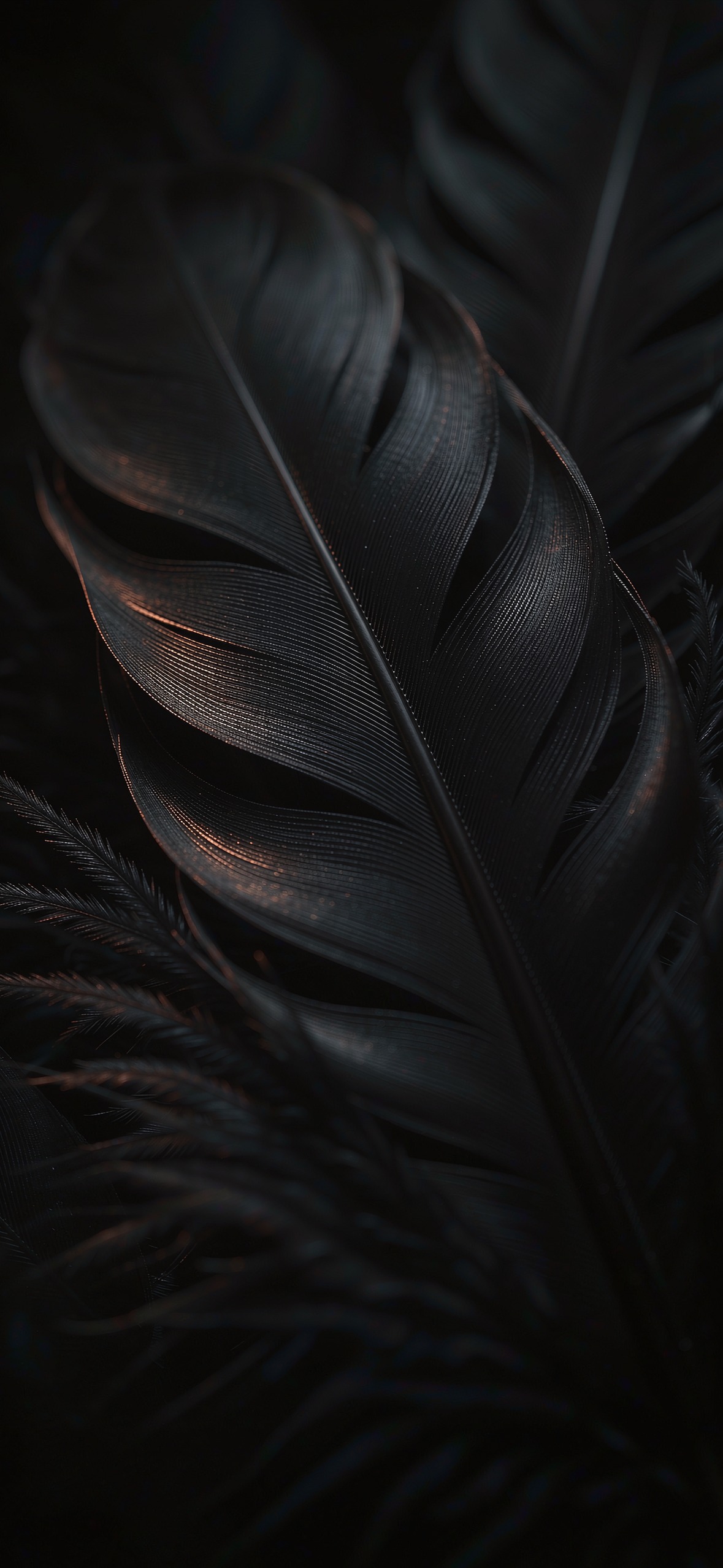 黑羽微光 · 1179×2556 暗黑壁纸