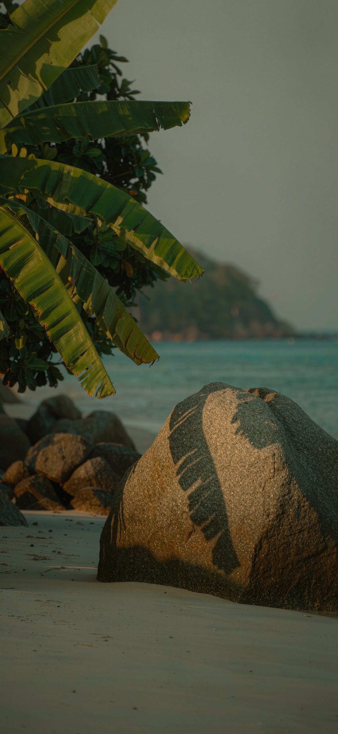 蕉影海滩